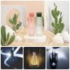 Sản phẩm gia công DẠ THẢO LAN