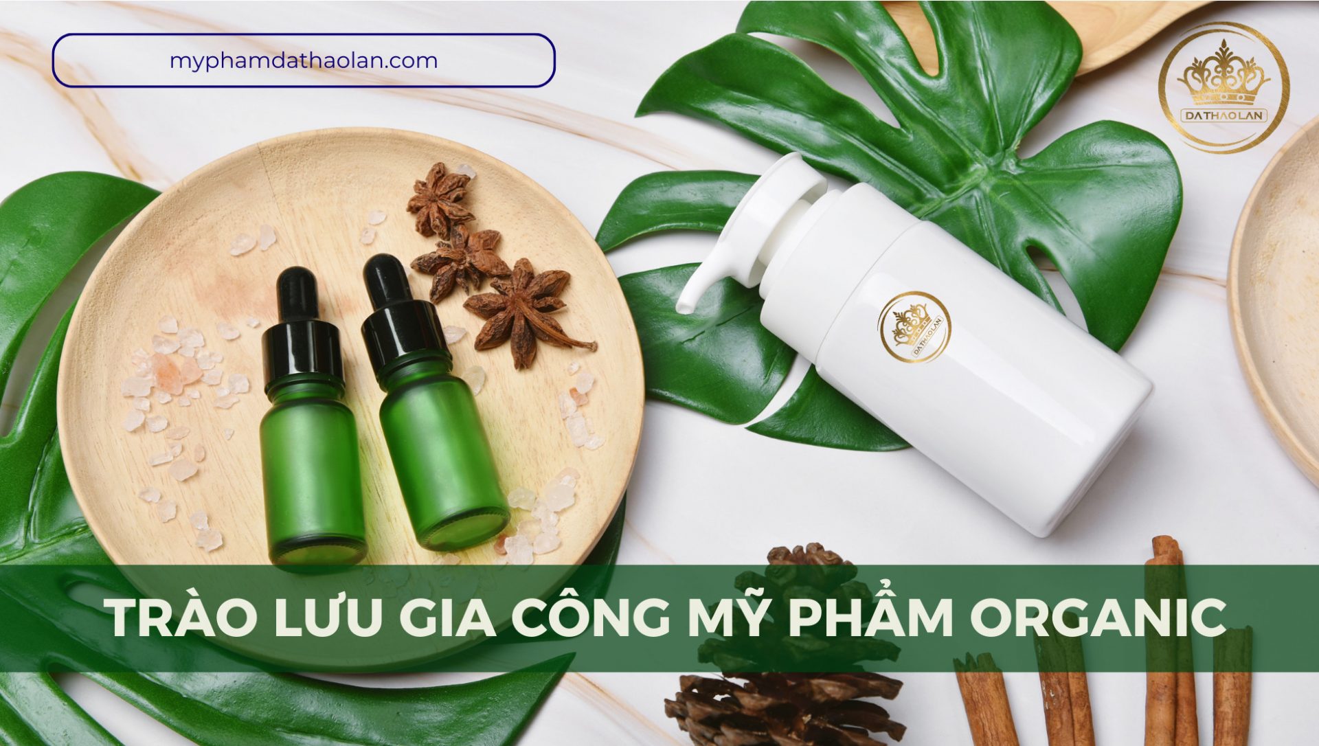 Giải mã trào lưu sử dụng mỹ phẩm Organic hiện nay cùng Nhà máy mỹ phẩm DẠ THẢO LAN