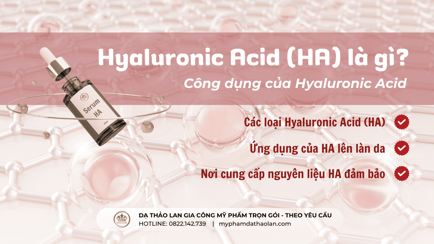 Hoạt chất Hyaluronic Acid (HA) là gì? ứng dụng trong gia công mỹ phẩm