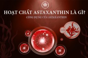 Hoạt chất Astaxanthin là gì? Ứng dụng của Astaxanthin trong gia công mỹ phẩm