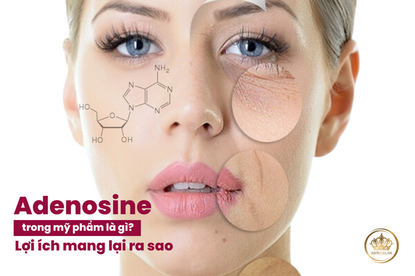 adenosine trong mỹ phẩm là gì
