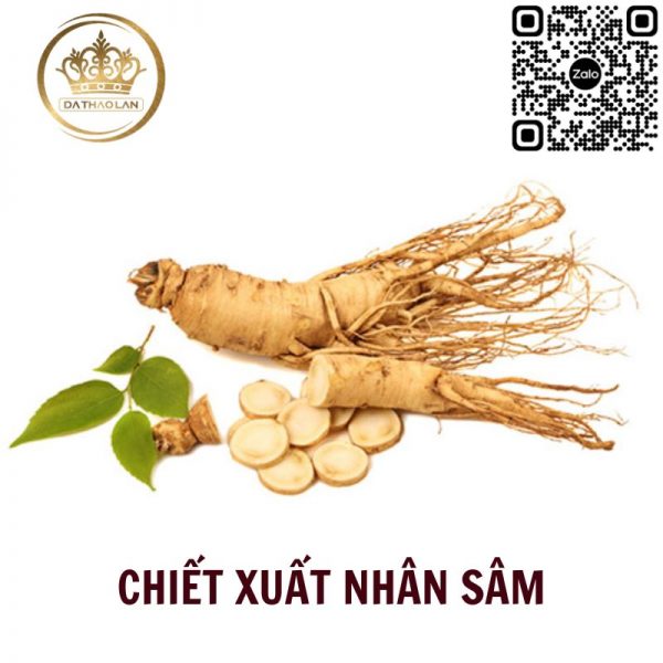 Chiết xuất nhân sâm - Nguồn nguyên liệu mỹ phẩm cao cấp