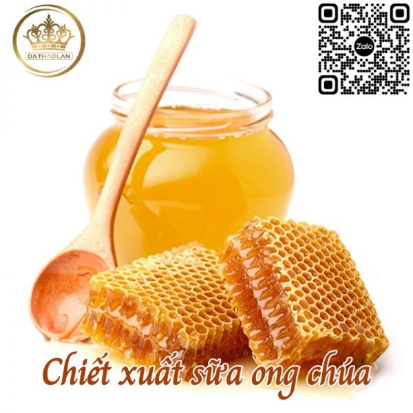 Chiết xuất sữa ong chúa cao cấp – Nguồn nguyên liệu mỹ phẩm uy tín