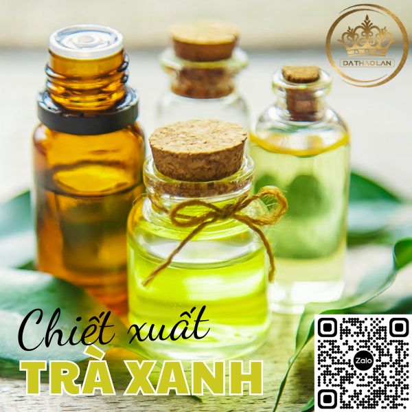 Chiết xuất trà xanh - Nguyên liệu mỹ phẩm chất lượng cao