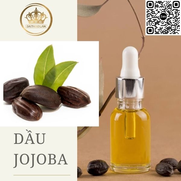 Dầu Jojoba - Nguyên liệu mỹ phẩm mệnh danh là ‘vàng lỏng’ từ sa mạc Mỹ