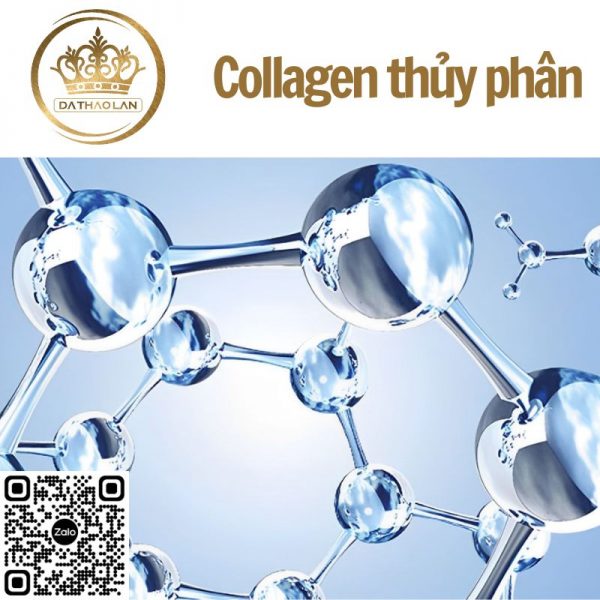 Nguyên liệu mỹ phẩm – Collagen thủy phân chất lượng cao