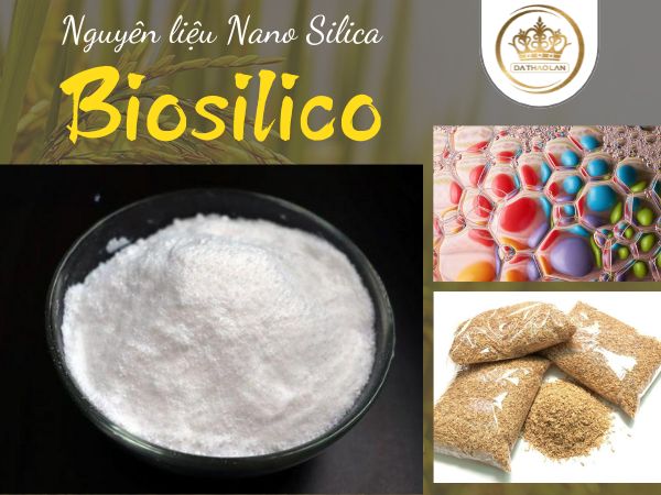 Biosilico: Nguyên liệu Nano Silica chiết xuất từ trấu