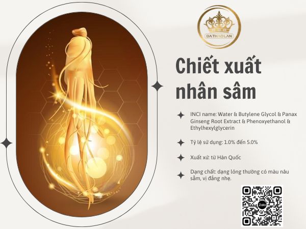 Chiết xuất nhân sâm