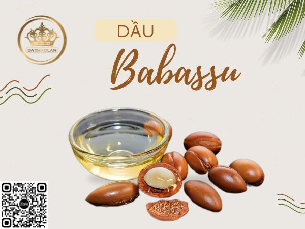 Nguyên liệu mỹ phẩm: Dầu Babassu