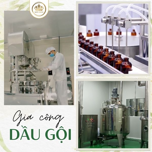 Gia công dầu gội thảo dược